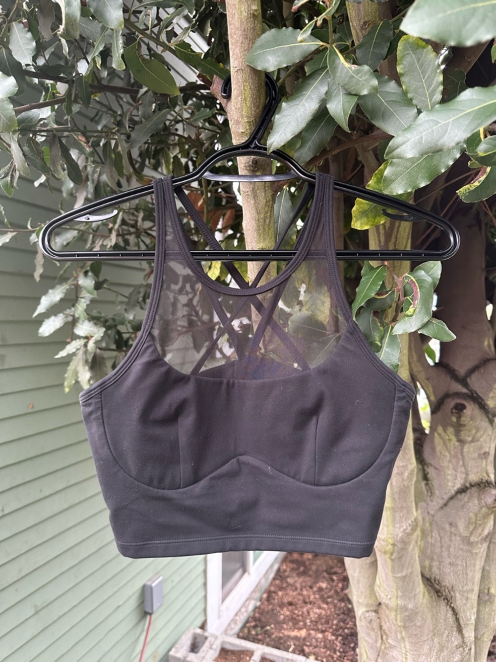POPFLEX Celeste Mesh Crop Bralette - Black